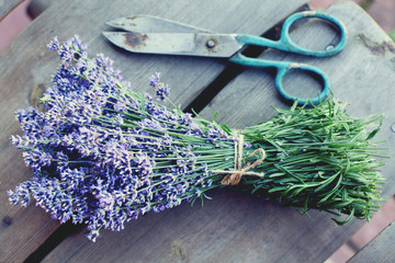 Obraz na płótnie Canvas collecting lavender