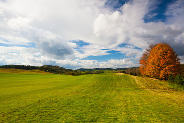 Empty autumn golf course