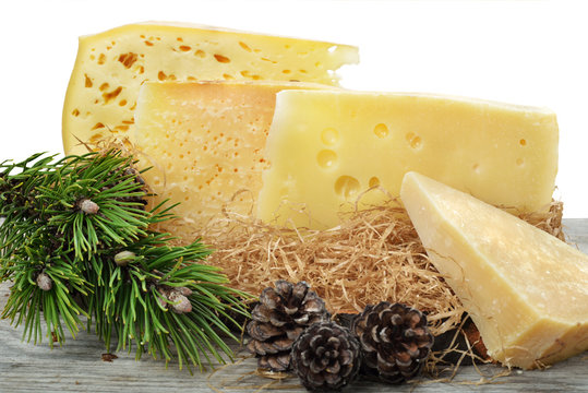 formaggi di malga montani