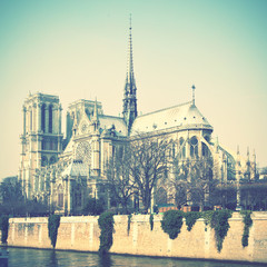 Naklejka premium Notre Dame de Paris