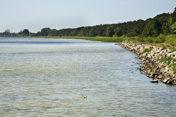 Bay of Puck in Jurata. Poland