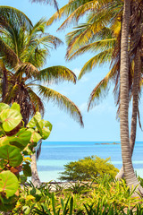 Fototapeta premium Tropical paradise
