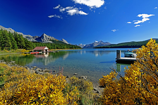Maligne Lake with beautiful fall color