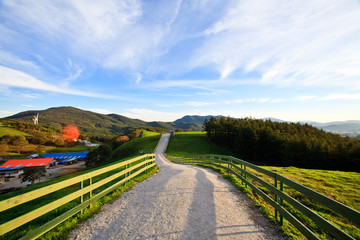 대관령 양떼목장