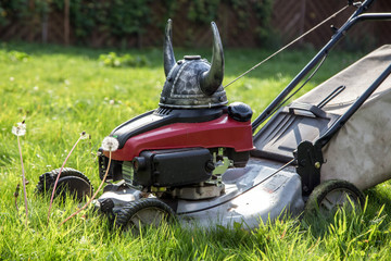 Fototapeta premium Viking mower