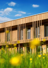 Holzhaus modern ökologisch Gebäude Holzfassade in Natur
