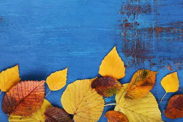 Yellow leaves on blue wooden background