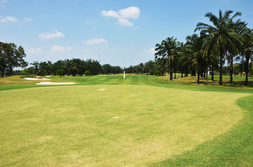 grass  in the golf club