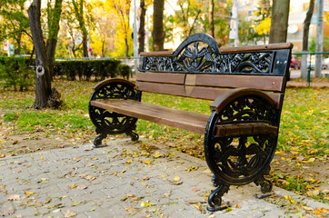 Empty bench in the park in the autumn