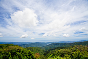 Fototapeta premium 대관령