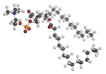 Pulmonary surfactant molecule. 