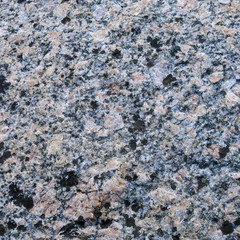 speckled rock