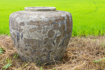 Large cement jar on hay in paddy field.