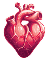 Vector heart
