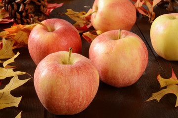 Harvest apples