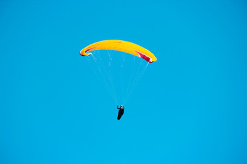 Adventures With Paragliding Aviator