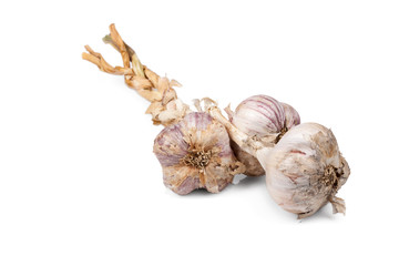 Bunch of garlic bulbs on white