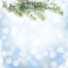 Fototapeta na wymiar Christmas winter background with snow fir tree