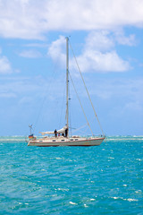 Naklejka premium voilier