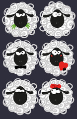 new year sheep