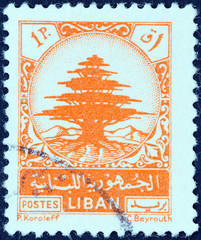 Cedar of Lebanon (Lebanon 1948)
