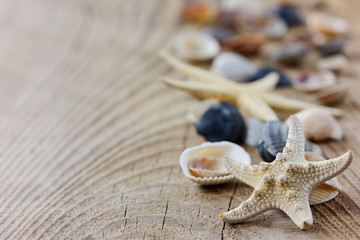 Starfish and seashells on a wooden rustic board