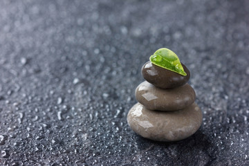 Green leaf with water drops and three wet stones