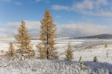 winter landscape