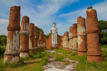 White Buddha