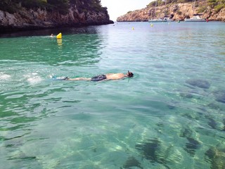 snorkeling in the bay