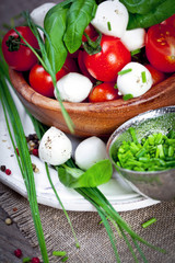 Mozzarella cheese with cherry tomatoes and basil
