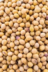 Soybean isolated on white background