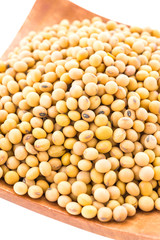 Soybean isolated on white background