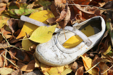 Lost Female Children White Shoes in Autumn Leaf