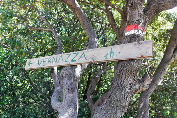 Vernazza 1 Stunde