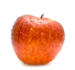 wet red apple