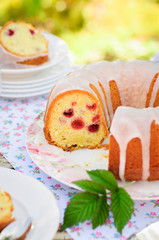 Sliced Lemon and Caraway Seed Bundt Cake with Raspberries