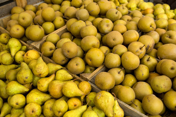 Organic Pears