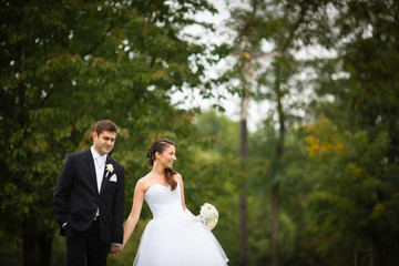 Just married, young wedding couple in a park, walking