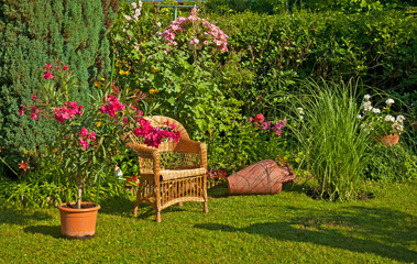 Nice oleanders in the garden