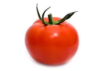one tomato