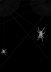 two gray spiders in web illustration