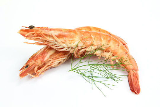 crevettes roses