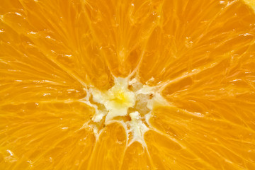 cut of orange