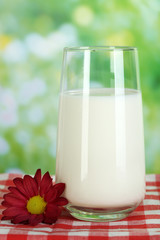 Milk in glass on napkin on natural background