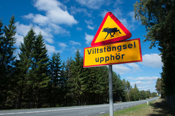 Elch Verkehrszeichen in Schweden