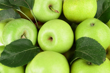 Ripe green apples close up