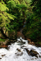 Obraz premium 의림지