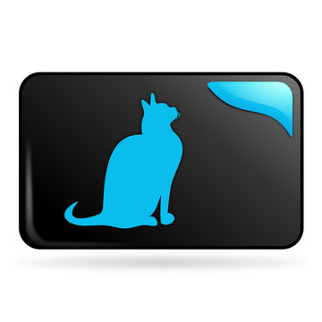 chat sur bouton web rectangle bleu