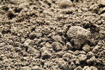 shallow soil